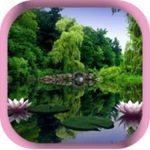 nature hd live wallpapers android application logo